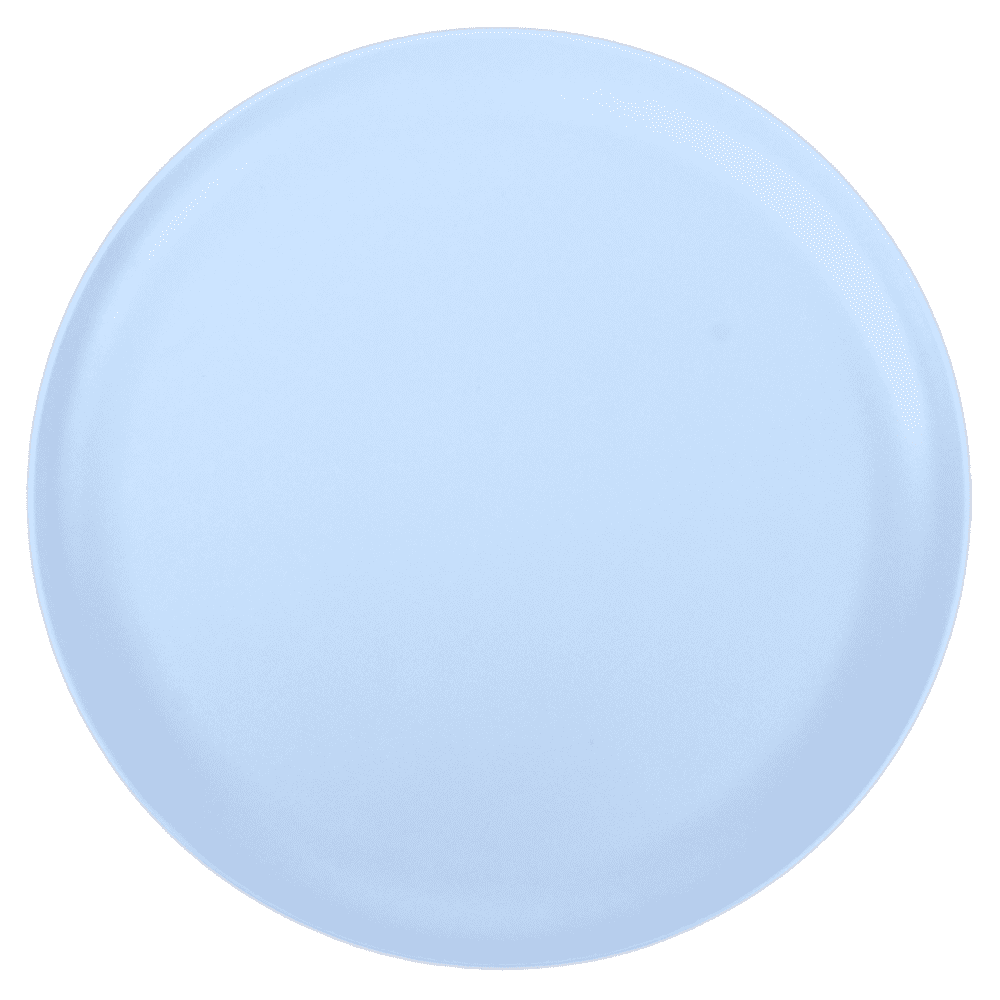 10.5" TWO TONE DINNER PLATE--STONE BLUE