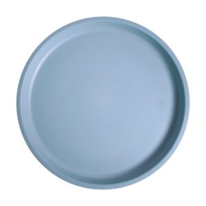 8" NATUREWARE RPET DINNER PLATE--BLUE