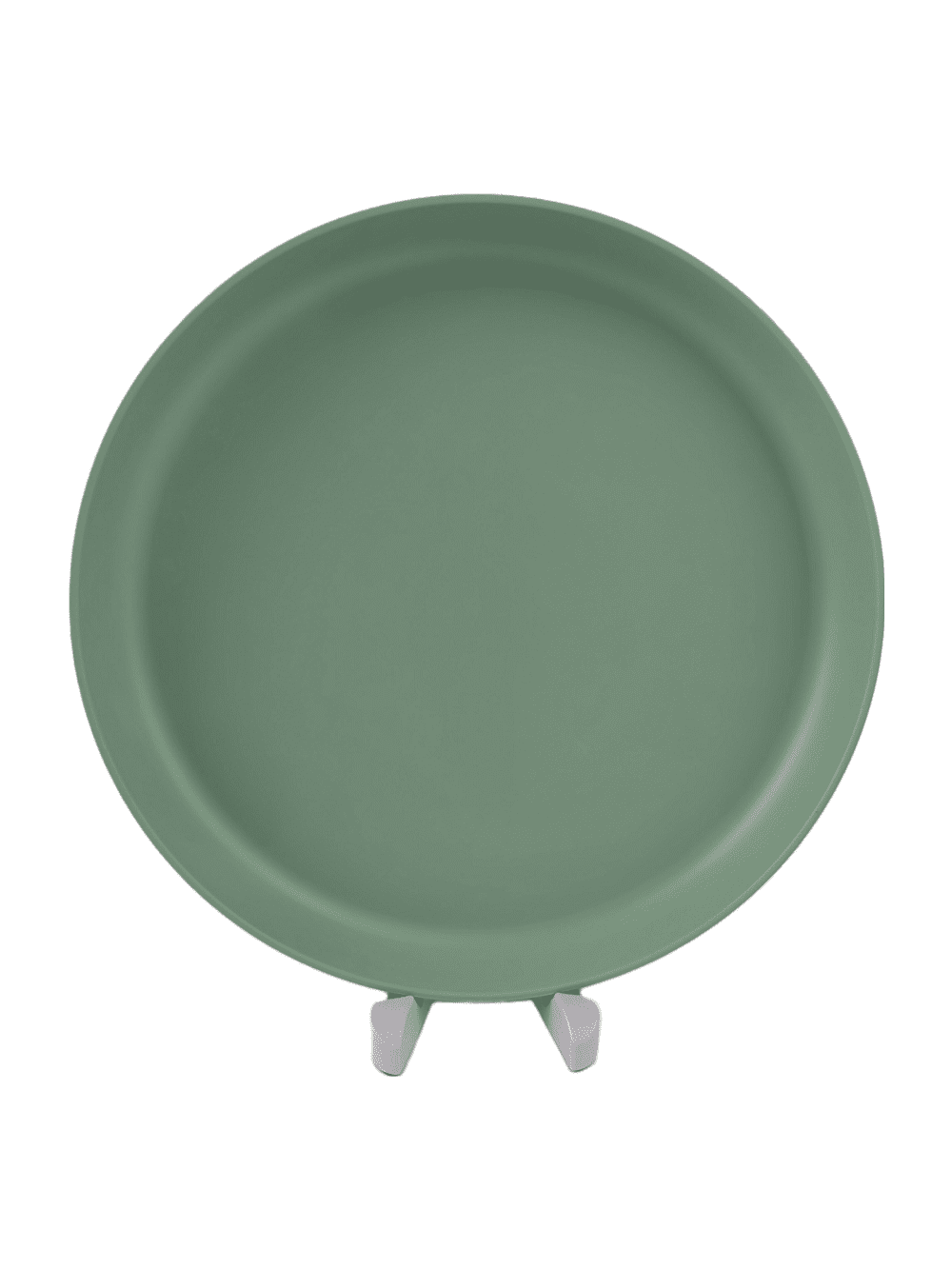 Sage Green 10.5'' Dinner Plate