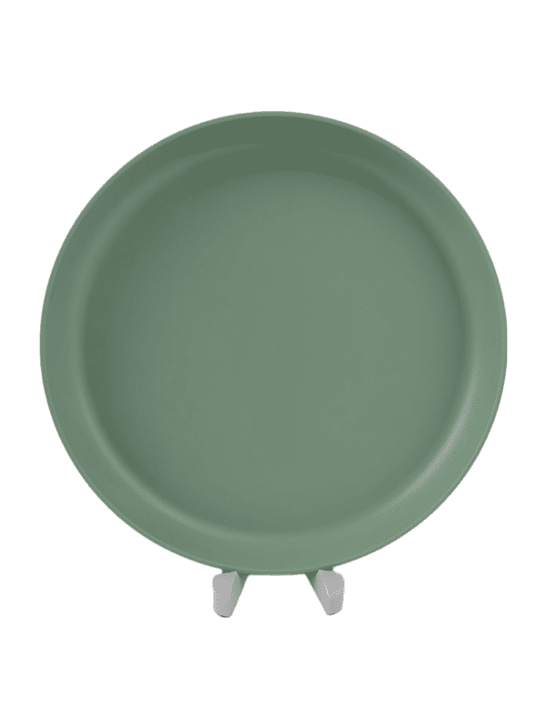 Sage Green 10.5'' Dinner Plate