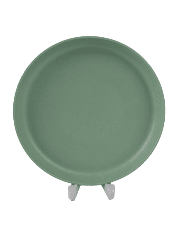 Sage Green 9.5'' Dinner Plate